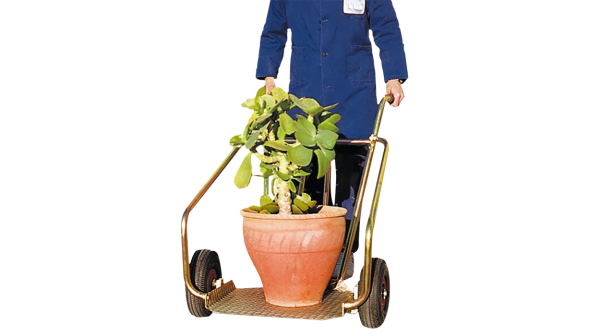 CARRELLO GARDEN