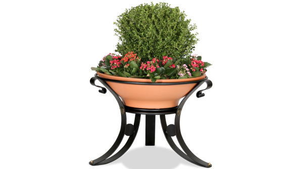 FIORIERA DALIA