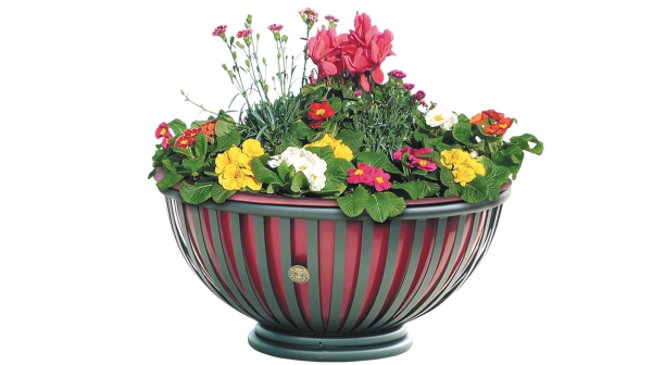 FIORIERA TULIPANO