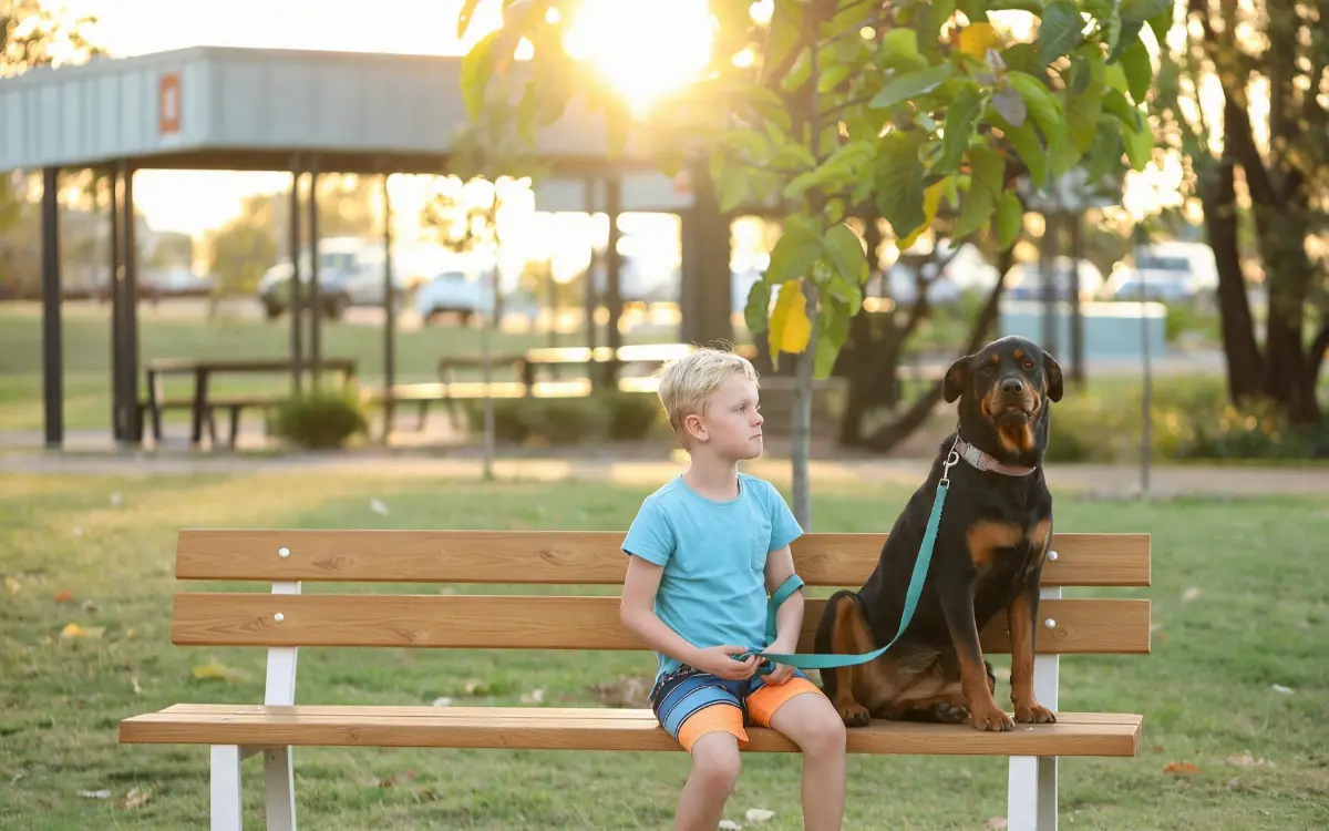 Bambino e cane su panchina Bosco